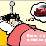 Nằm mơ thấy ô tô đánh con gì?