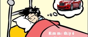 Nằm mơ thấy ô tô đánh con gì ? Những con số may mắn nhất khi mơ thấy ô tô